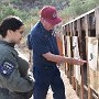 PistolComp-20191109-0960.JPG