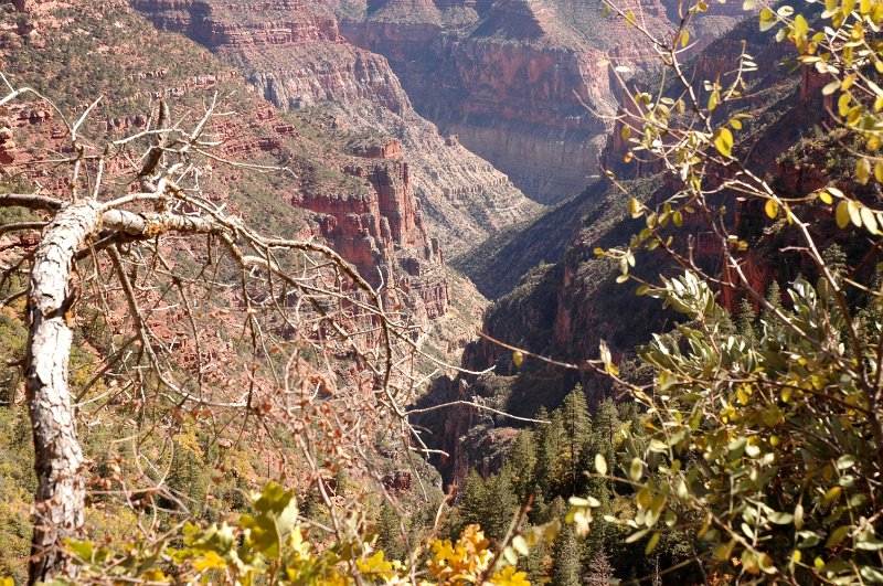 GC-Hike20111017_0174.jpg
