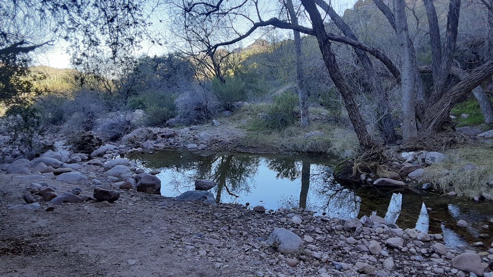 Hackberry Springs 2024