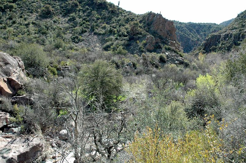 ReavFalls0421.jpg