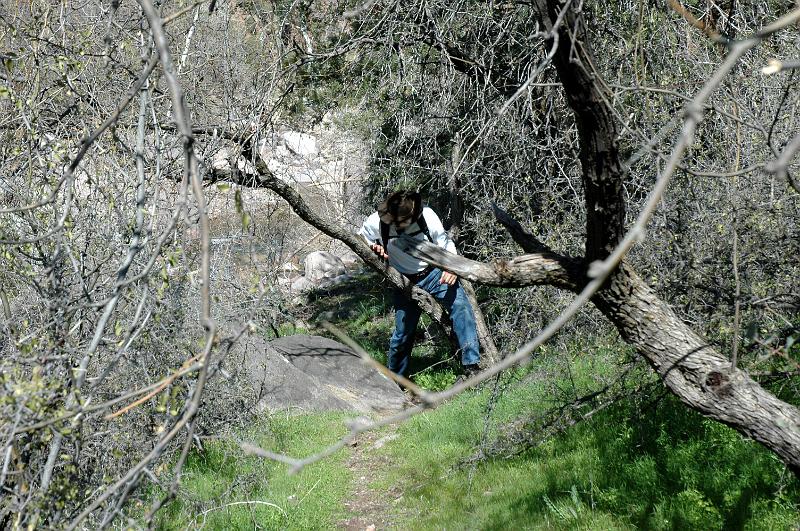 ReavFalls0433.jpg