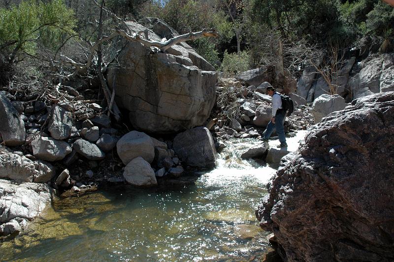 ReavFalls0437.jpg