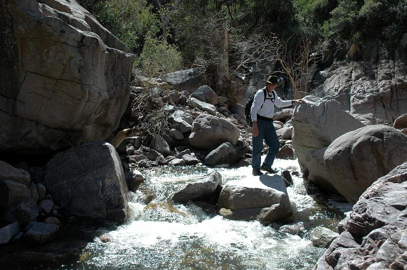 ReavFalls0438.jpg