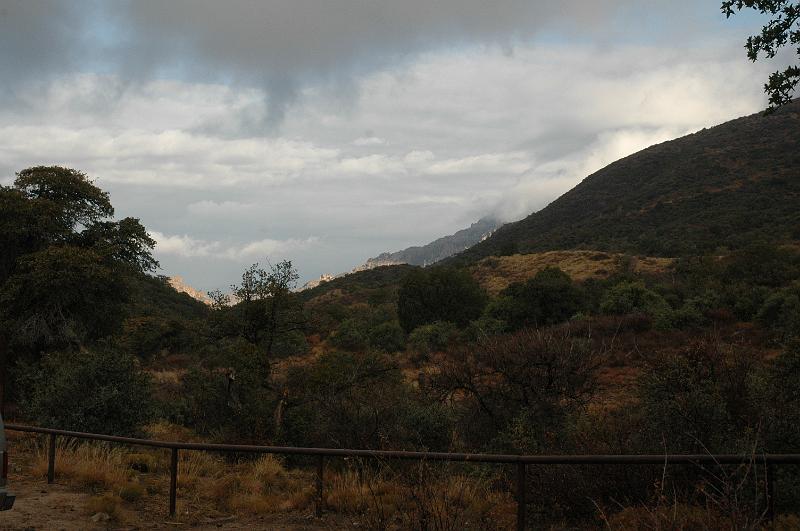 Reavis-2009_0152.JPG