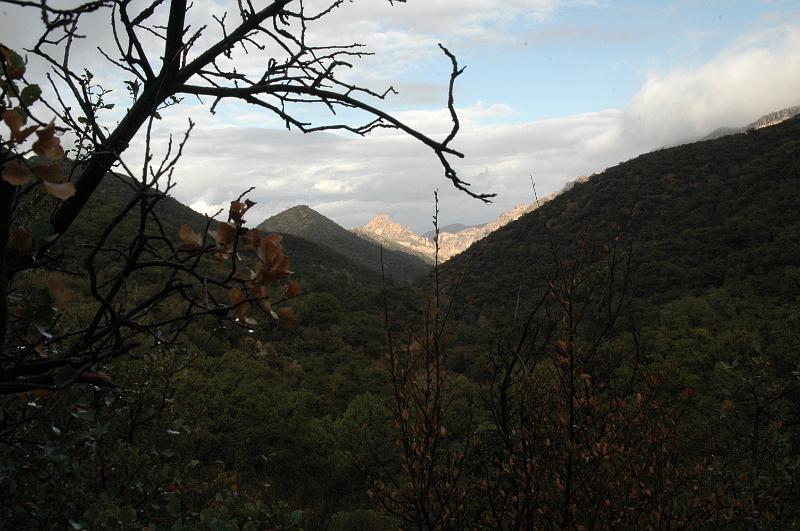 Reavis-2009_0155.JPG