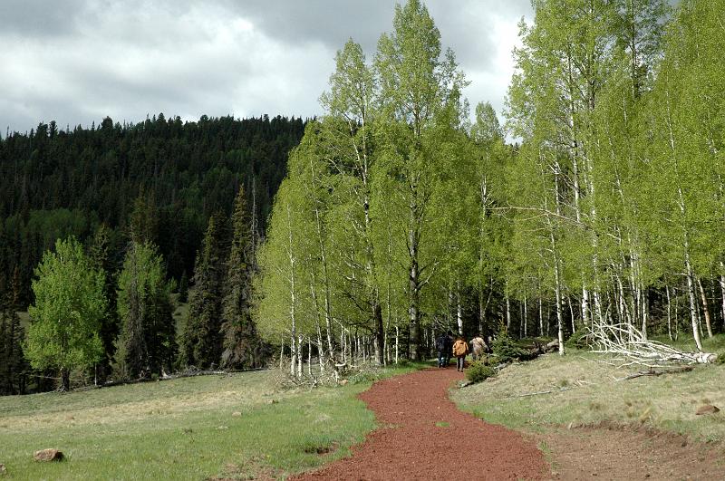1006120840-Baldy_0633.jpg