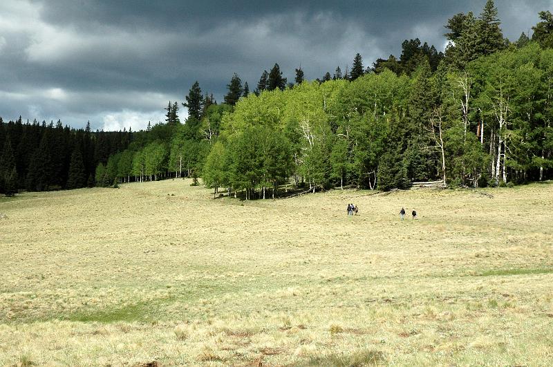 1006120845-Baldy_0635.jpg