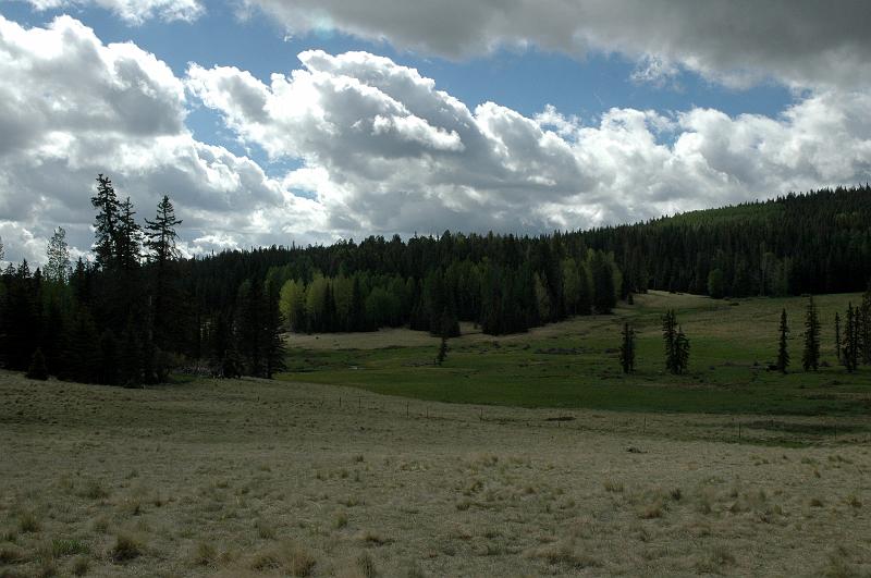1006120847-Baldy_0637.jpg
