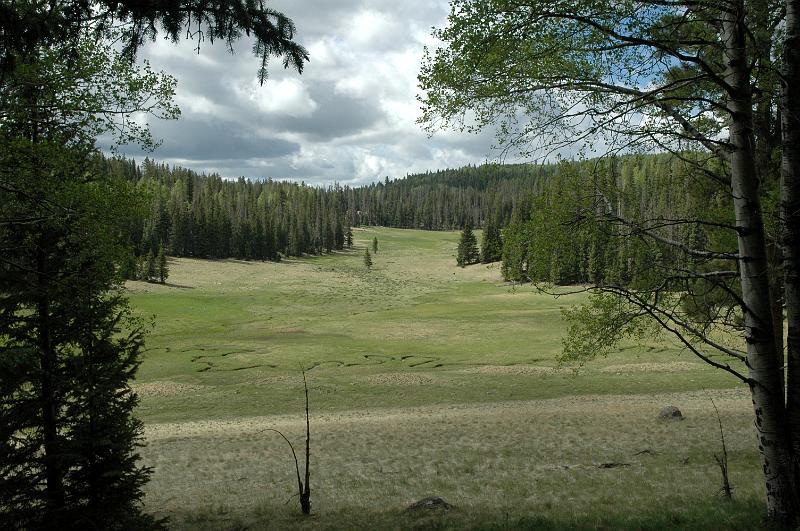 1006120909-Baldy_0640.jpg