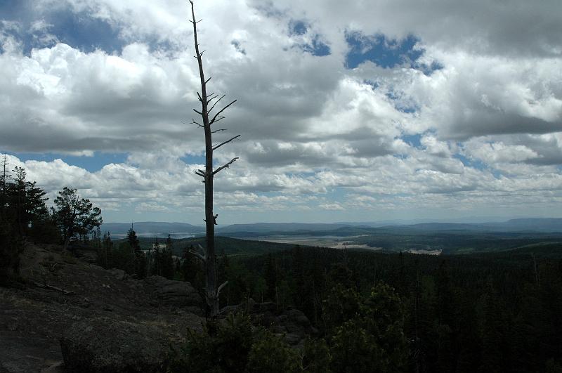 1006121105-Baldy_0652.jpg