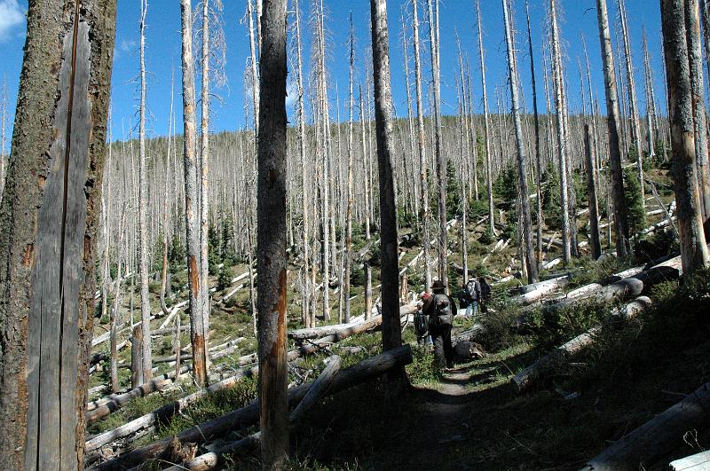 1006121545-Baldy_0701.jpg