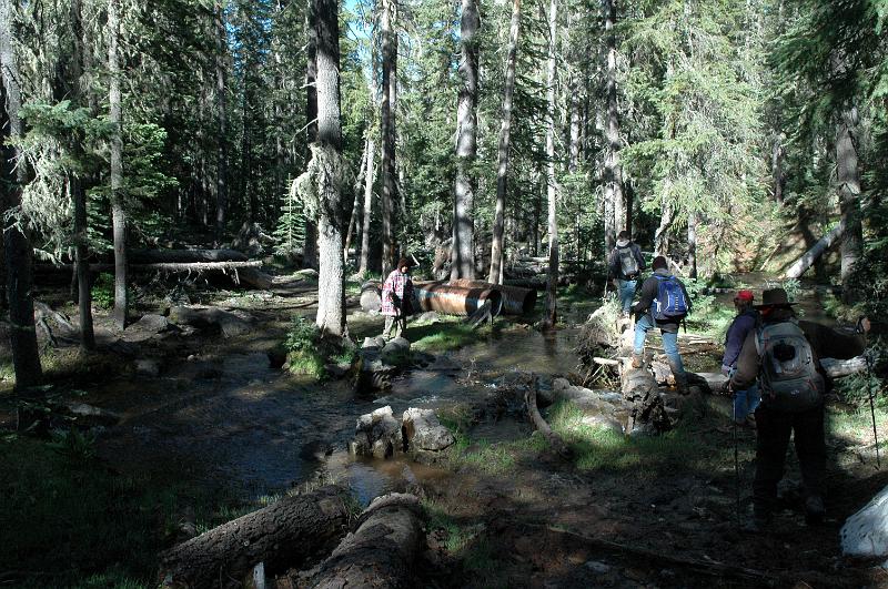 1006121633-Baldy_0704.jpg