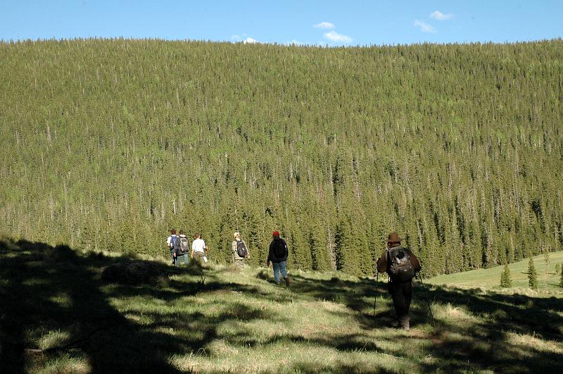 1006121709-Baldy_0714.jpg