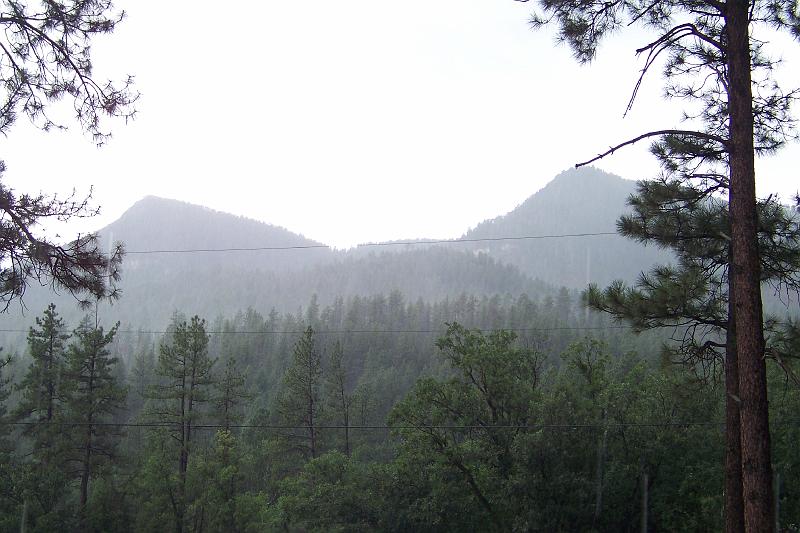 100_3835.jpg