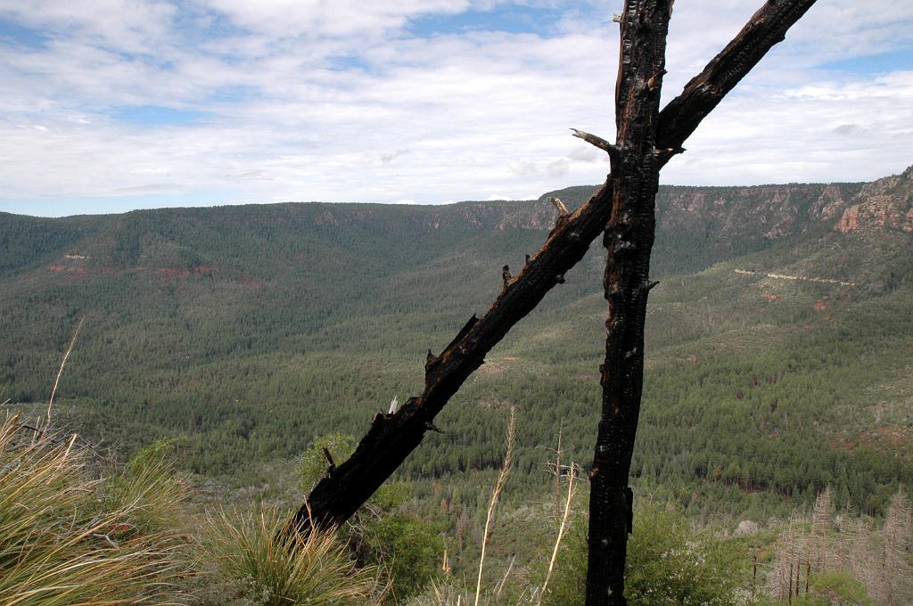 Geronimo_Chief_Miller_2010_0681.jpg