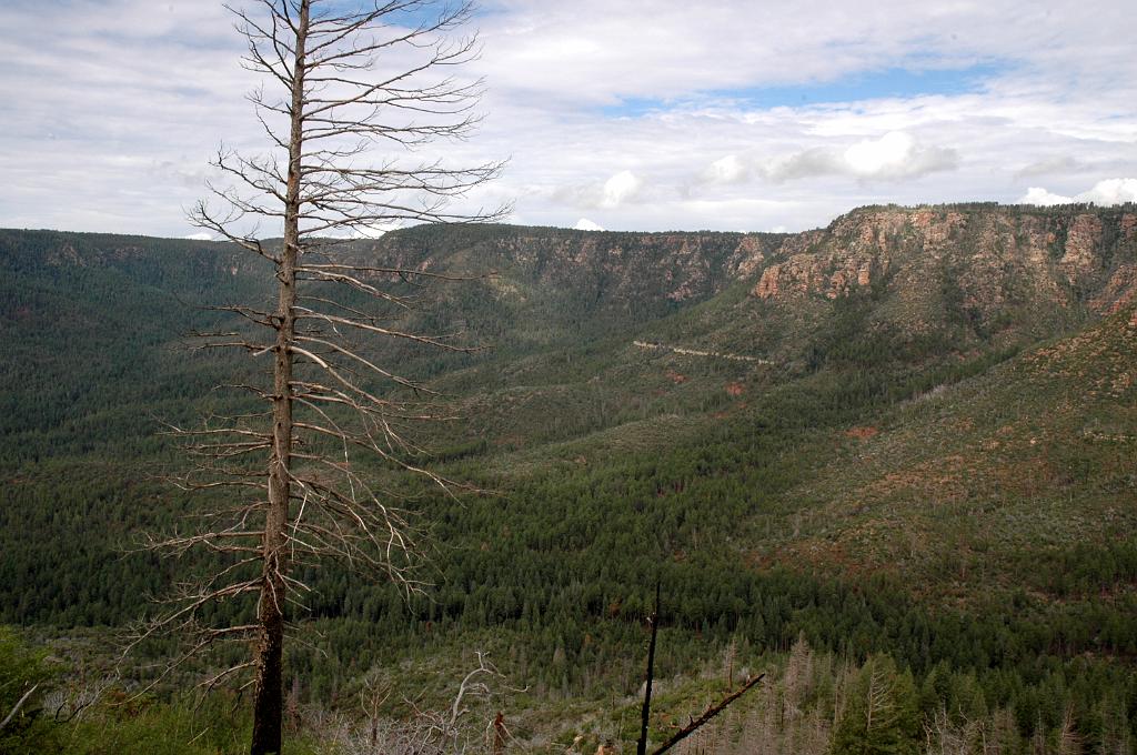 Geronimo_Chief_Miller_2010_0685.jpg