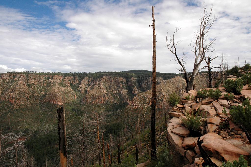 Geronimo_Chief_Miller_2010_0688.jpg