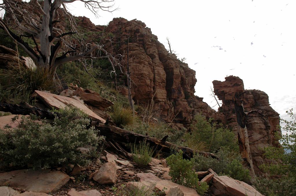 Geronimo_Chief_Miller_2010_0695.jpg
