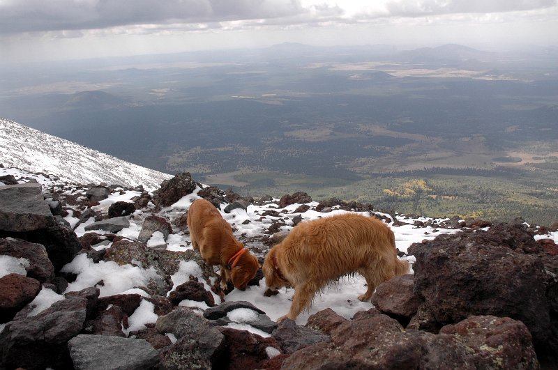 Humphreys-20111002_0336.jpg