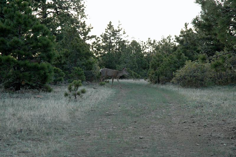 Phil2009_0296.jpg