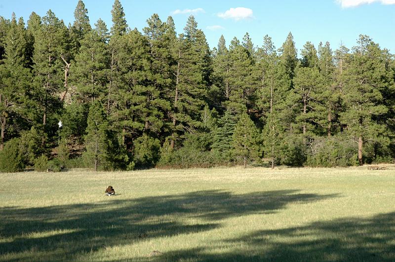 Phil2009_0940.jpg