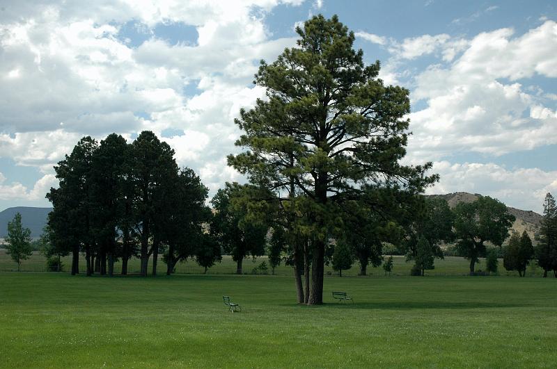 Phil2009_1114.jpg