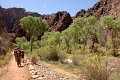 20120423_0417-GrandCanyon