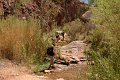20120423_0446-GrandCanyon