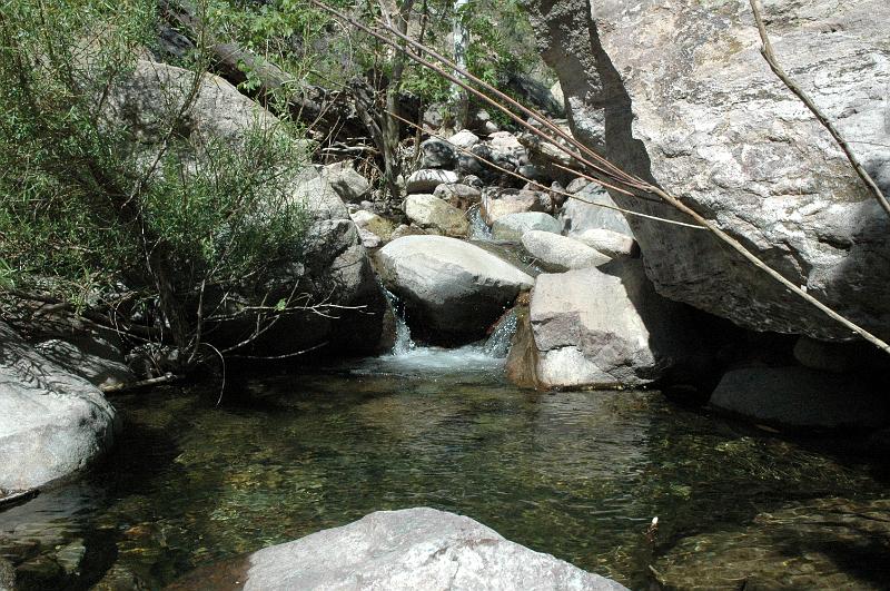 Salado2010-0179.jpg