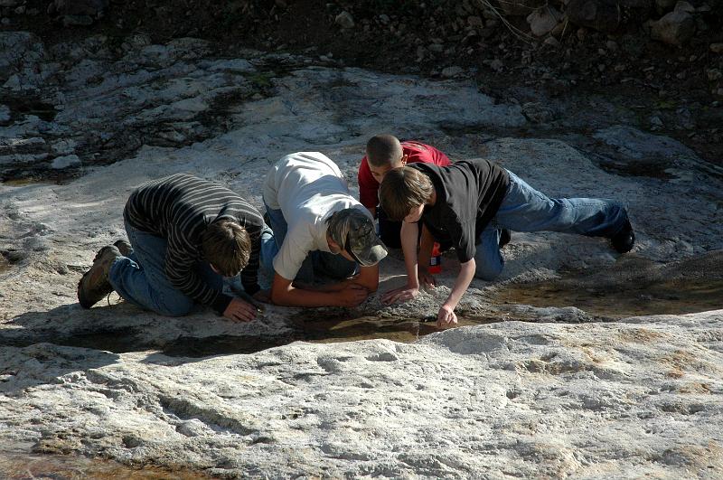 Salado2010-0194.jpg