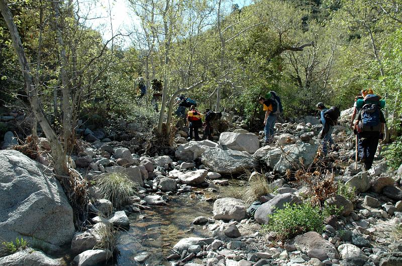 Salado2010-0249.jpg