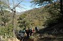 Salado2010-0110