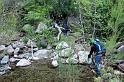 Salado2010-0232