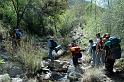 Salado2010-0253
