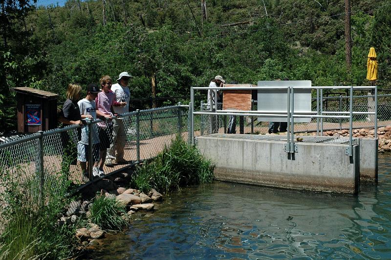 129fish-hatchery.JPG