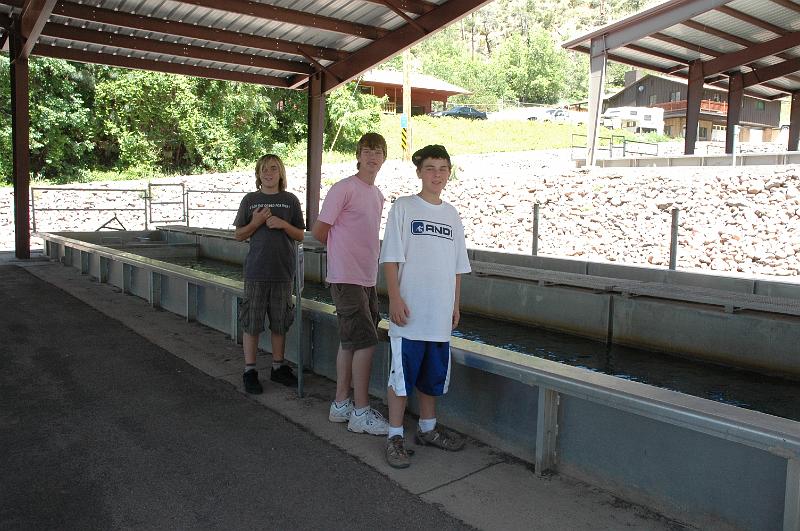 131fish-hatchery.JPG