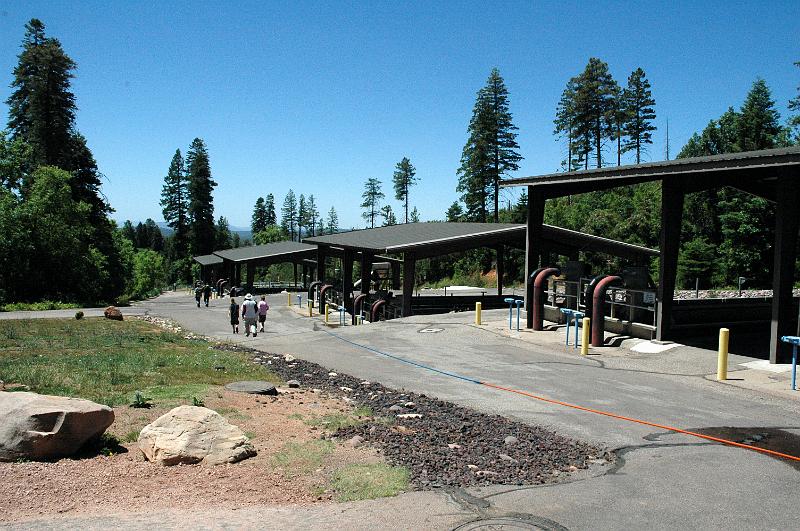 139fish-hatchery.JPG