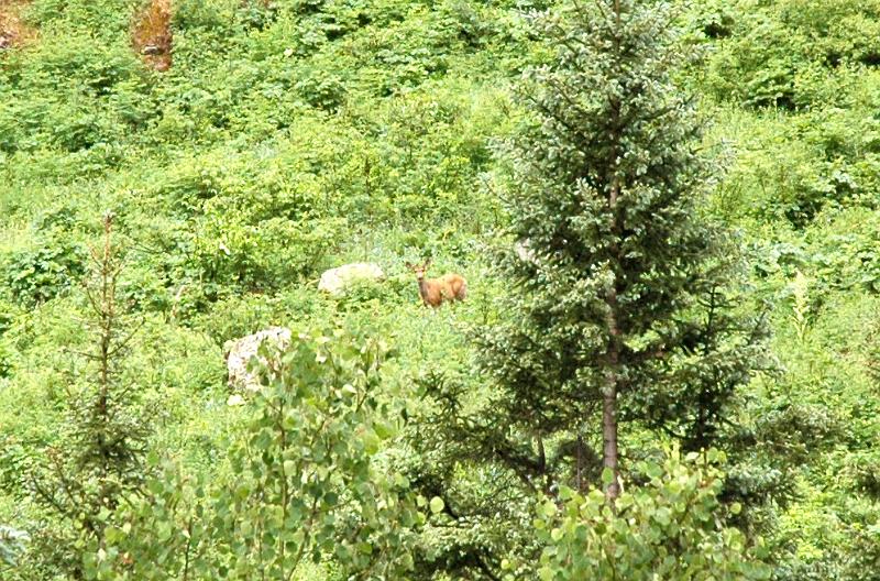 Telluride1007021629_1014.jpg