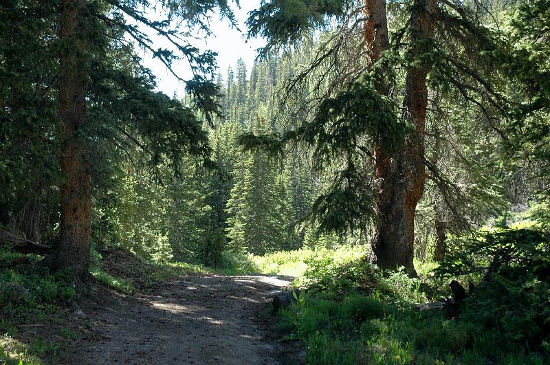 Tride3070_0539.jpg